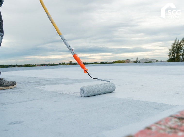 ทากันซึมดาดฟ้า ทากันซึมดาดฟ้า